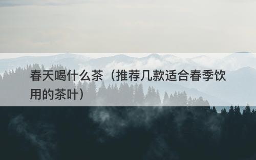 春天喝什么茶（推荐几款适合春季饮用的茶叶）