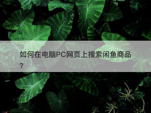 如何在电脑PC网页上搜索闲鱼商品？