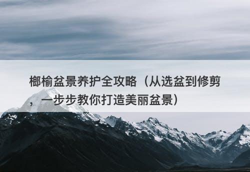 榔榆盆景养护全攻略（从选盆到修剪，一步步教你打造美丽盆景）