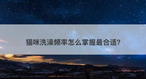 猫咪洗澡频率怎么掌握最合适？