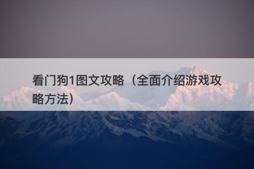 看门狗1图文攻略（全面介绍游戏攻略方法）