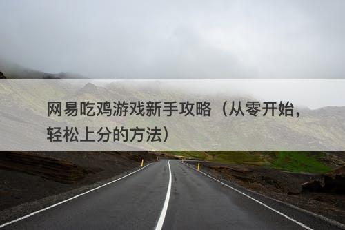 网易吃鸡游戏新手攻略（从零开始，轻松上分的方法）
