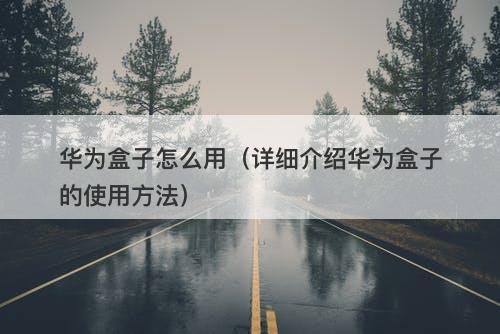 华为盒子怎么用（详细介绍华为盒子的使用方法）