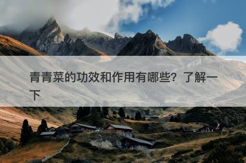 青青菜的功效和作用有哪些？了解一下
