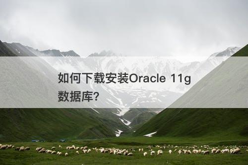 如何下载安装Oracle 11g数据库？