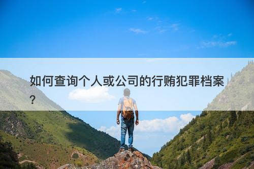 如何查询个人或公司的行贿犯罪档案？