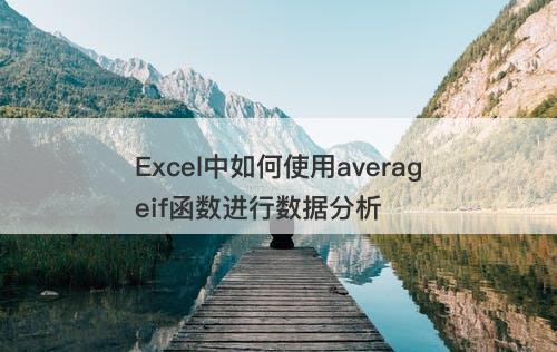 Excel中如何使用averageif函数进行数据分析