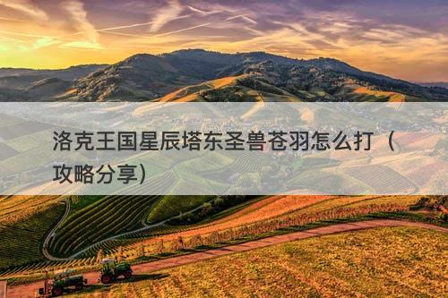洛克王国星辰塔东圣兽苍羽怎么打（攻略分享）