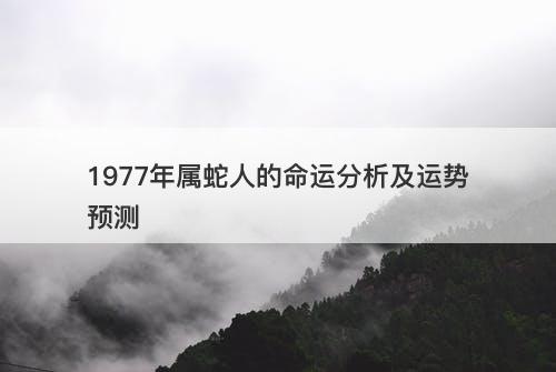 1977年属蛇人的命运分析及运势预测