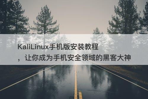 KaliLinux手机版安装教程，让你成为手机安全领域的黑客大神