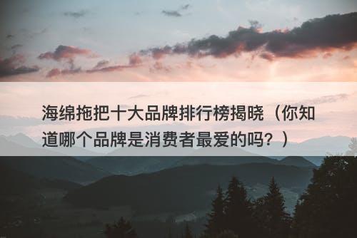 海绵拖把十大品牌排行榜揭晓（你知道哪个品牌是消费者最爱的吗？）