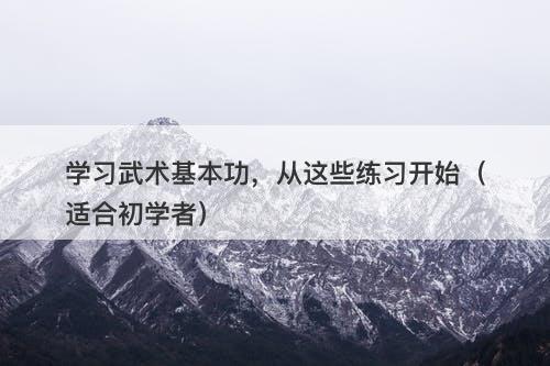学习武术基本功，从这些练习开始（适合初学者）