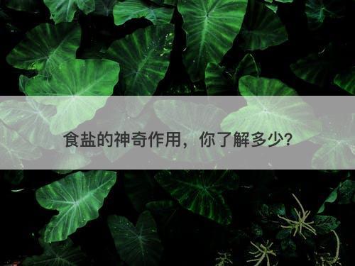 食盐的神奇作用，你了解多少？