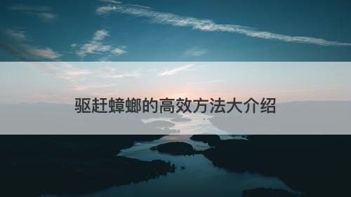驱赶蟑螂的高效方法大介绍