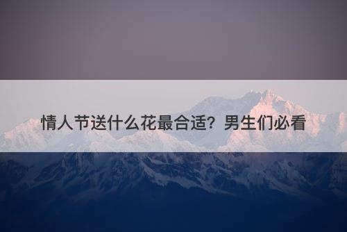 情人节送什么花最合适？男生们必看