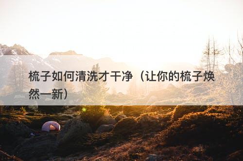 梳子如何清洗才干净（让你的梳子焕然一新）