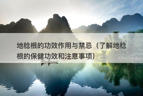 地稔根的功效作用与禁忌（了解地稔根的保健功效和注意事项）