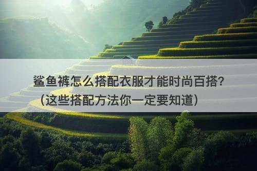 鲨鱼裤怎么搭配衣服才能时尚百搭？（这些搭配方法你一定要知道）