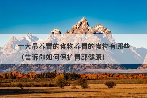 十大最养胃的食物养胃的食物有哪些（告诉你如何保护胃部健康）
