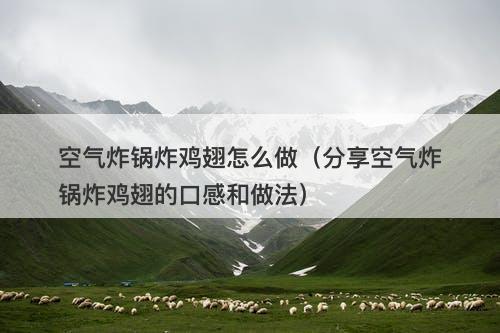 空气炸锅炸鸡翅怎么做（分享空气炸锅炸鸡翅的口感和做法）