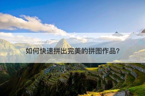 如何快速拼出完美的拼图作品？