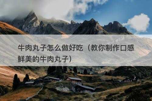 牛肉丸子怎么做好吃（教你制作口感鲜美的牛肉丸子）