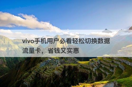 vivo手机用户必看轻松切换数据流量卡，省钱又实惠