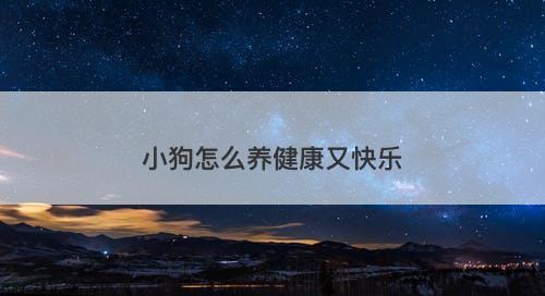 小狗怎么养健康又快乐