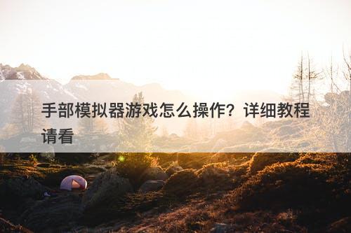 手部模拟器游戏怎么操作？详细教程请看