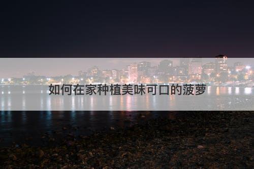 如何在家种植美味可口的菠萝