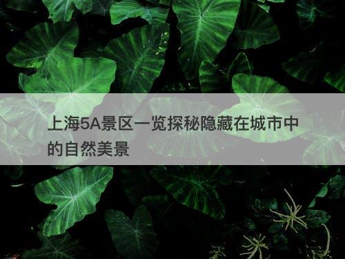 上海5A景区一览探秘隐藏在城市中的自然美景