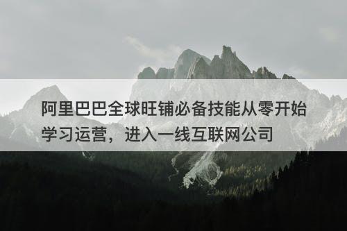 阿里巴巴全球旺铺必备技能从零开始学习运营，进入一线互联网公司