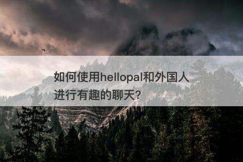 如何使用hellopal和外国人进行有趣的聊天？