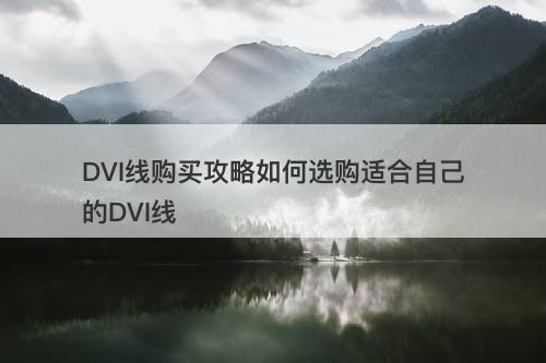 DVI线购买攻略如何选购适合自己的DVI线