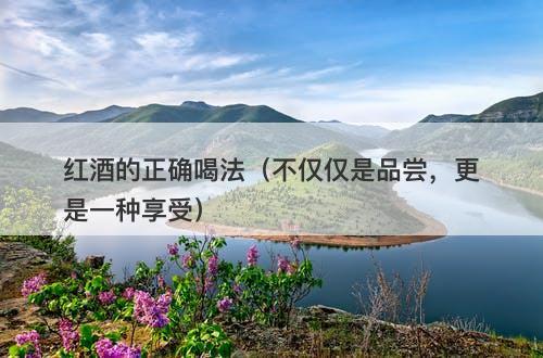 红酒的正确喝法（不仅仅是品尝，更是一种享受）