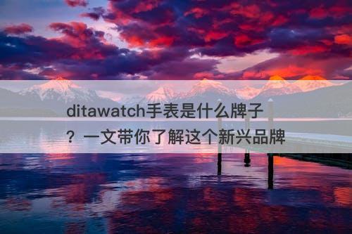 ditawatch手表是什么牌子？一文带你了解这个新兴品牌