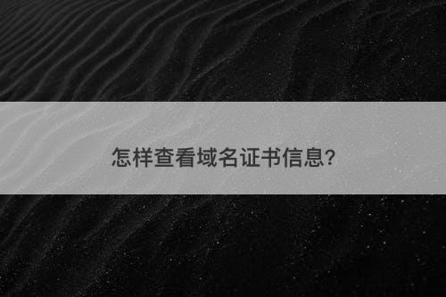 怎样查看域名证书信息？
