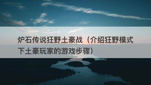 炉石传说狂野土豪战（介绍狂野模式下土豪玩家的游戏步骤）