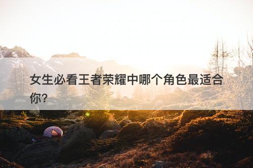 女生必看王者荣耀中哪个角色最适合你？
