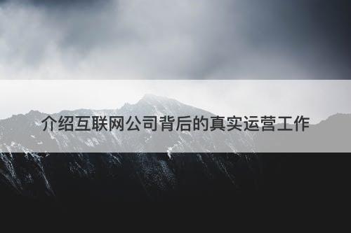 介绍互联网公司背后的真实运营工作