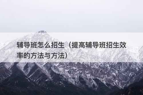 辅导班怎么招生（提高辅导班招生效率的方法与方法）