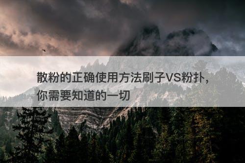 散粉的正确使用方法刷子VS粉扑，你需要知道的一切