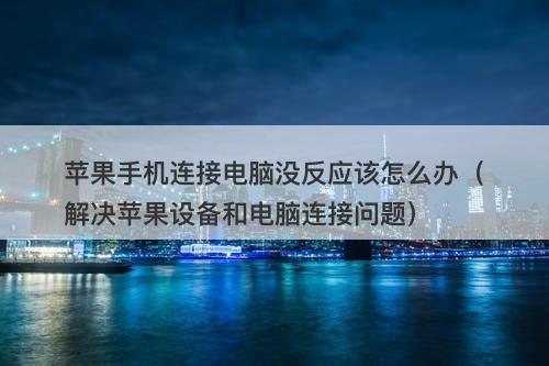苹果手机连接电脑没反应该怎么办（解决苹果设备和电脑连接问题）