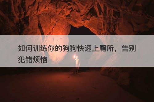 如何训练你的狗狗快速上厕所，告别犯错烦恼