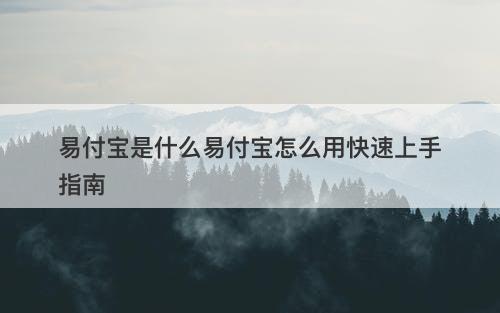 易付宝是什么易付宝怎么用快速上手指南
