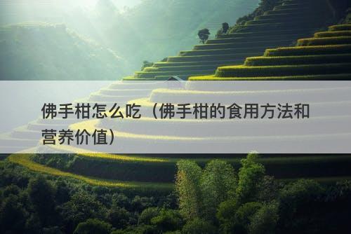 佛手柑怎么吃（佛手柑的食用方法和营养价值）
