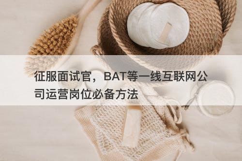 征服面试官，BAT等一线互联网公司运营岗位必备方法