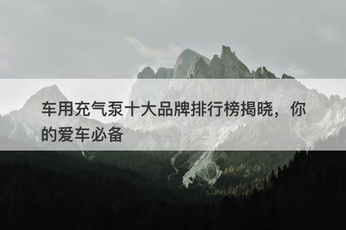 车用充气泵十大品牌排行榜揭晓，你的爱车必备