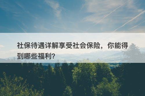 社保待遇详解享受社会保险，你能得到哪些福利？