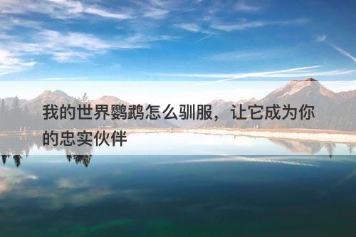我的世界鹦鹉怎么驯服，让它成为你的忠实伙伴